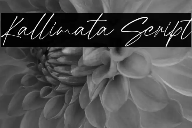 Kallimata Script Font examples