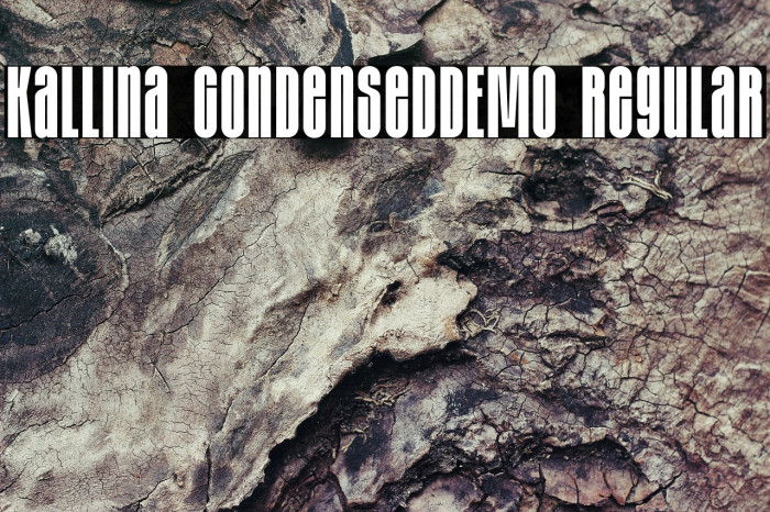 Kallina CondensedDEMO Regular Example 2