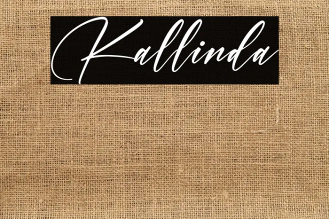 Kallinda Example 3