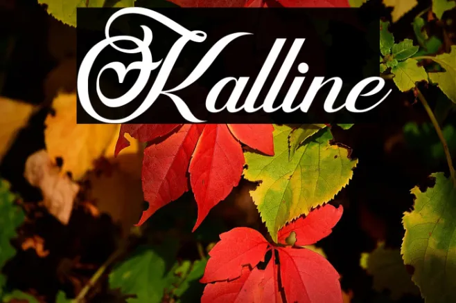 Kalline Example 2
