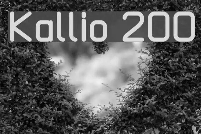 Kallio 200 Font examples