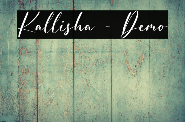 Kallisha - Demo Example 3