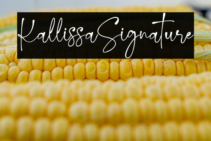 KallissaSignature Example 1