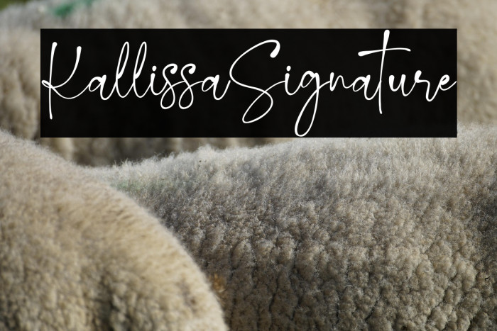 KallissaSignature Example 3