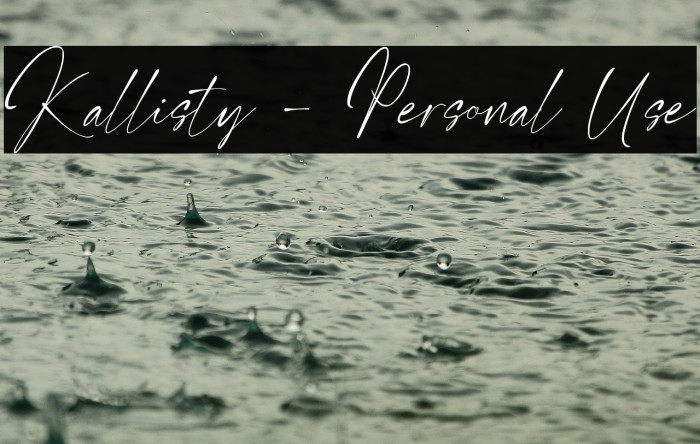 Kallisty - Personal Use Example 1