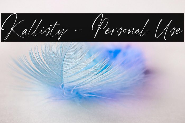 Kallisty - Personal Use Example 3