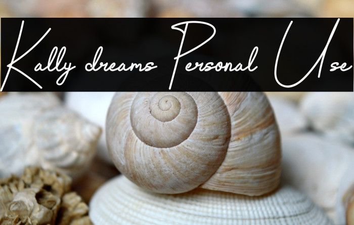 Kally dreams Personal Use Example 1