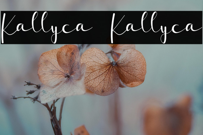 Kallyca Kallyca Example 2