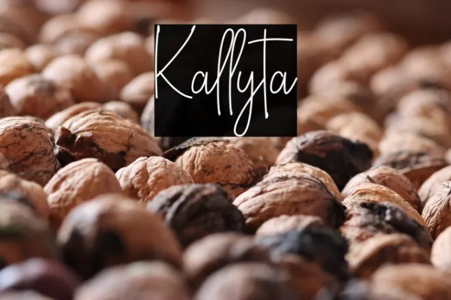 Kallyta Example 1