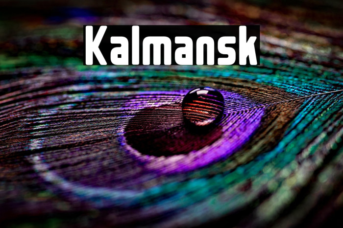 Kalmansk Example 3