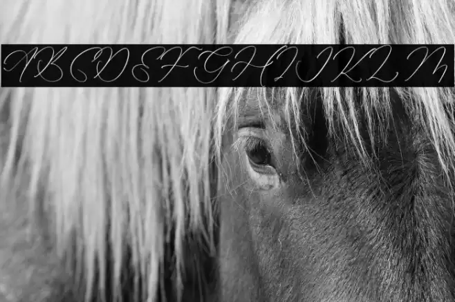 Kalneitta Aldonite خط examples