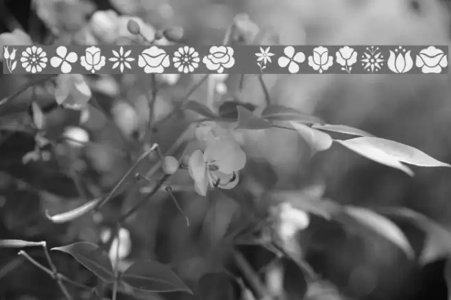 Kalocsai Flowers Font examples