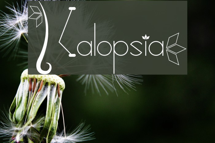 Kalopsia} Font examples