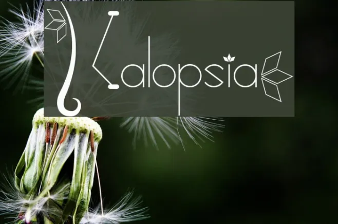 Kalopsia} Example 1