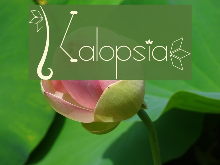 Kalopsia} Font examples