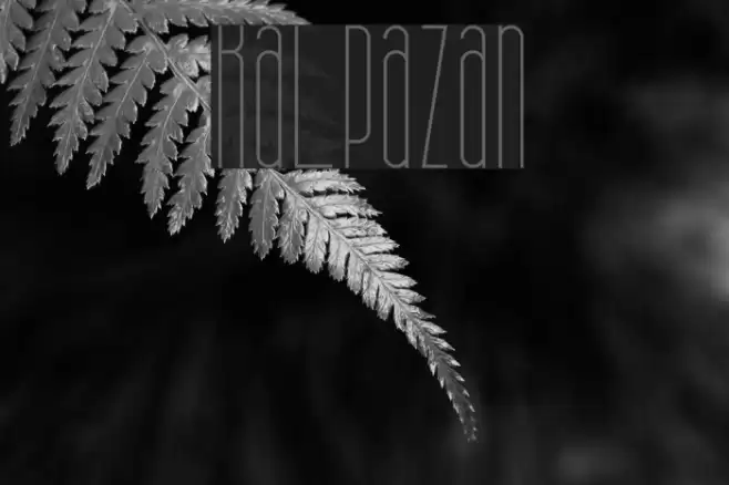 Kalpazan Font examples