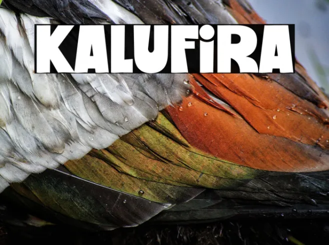Kalufira Example 1