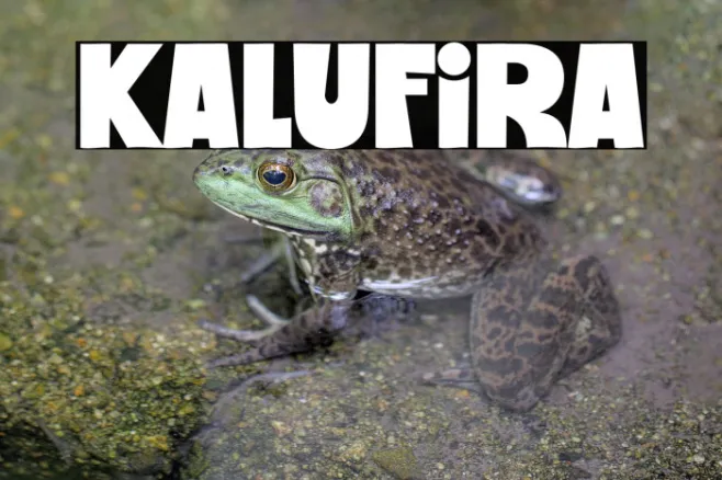Kalufira Example 2