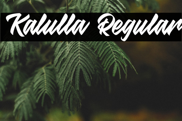 Kalulla Regular Example 1