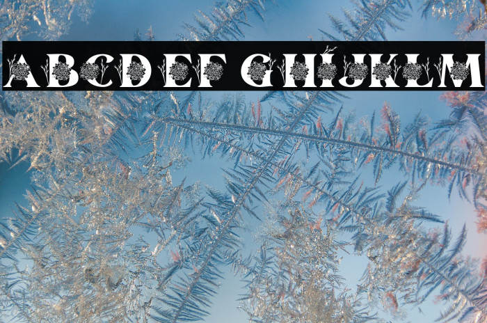 Kalveya Personal Use Example 1