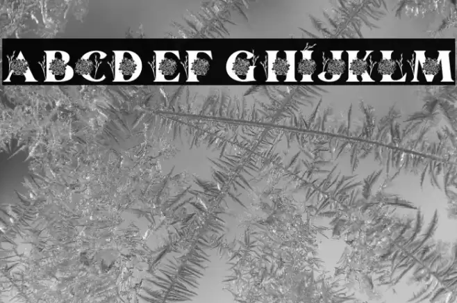 Kalveya Personal Use Caratteri examples