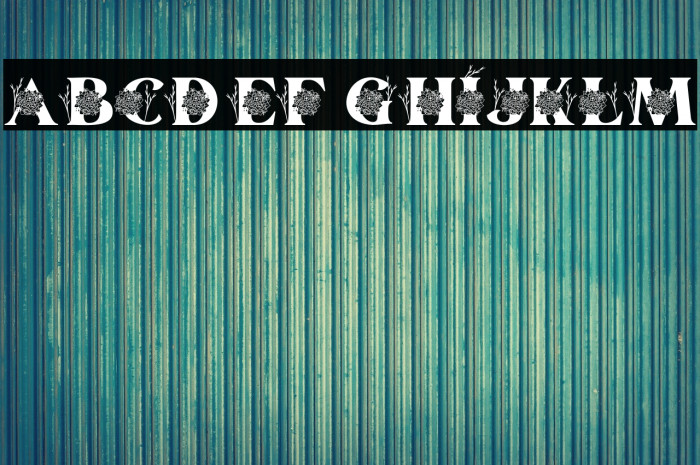 Kalveya Personal Use Example 2