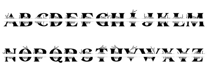 Kalveya Personal Use Font Litere mici