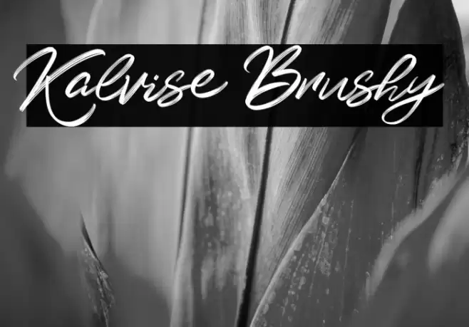 Kalvise Brushy Font examples