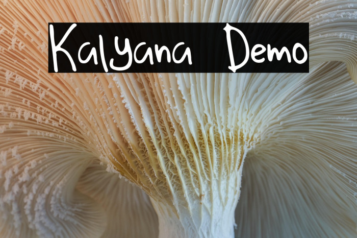 Kalyana Demo Example 1