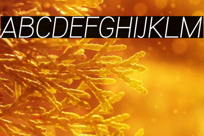 KalyantDemoLightOblique Example 2