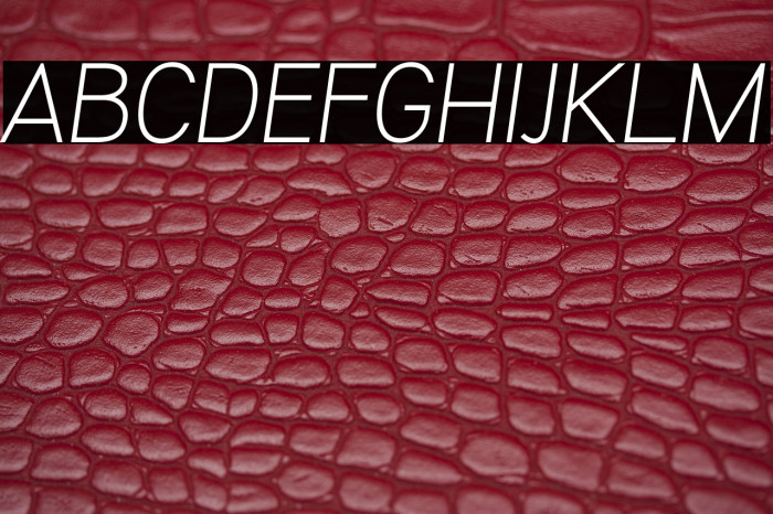 KalyantDemoLightOblique Example 3