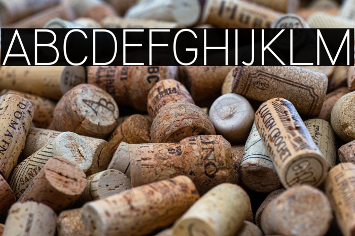 KalyantDemoLight Example 1