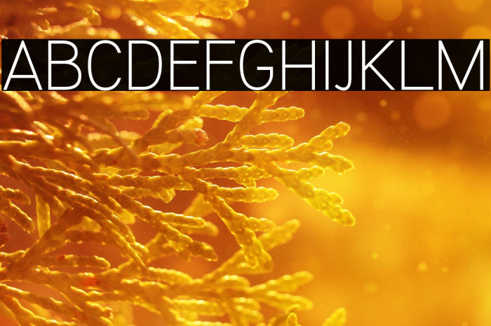 KalyantDemoLight Example 2