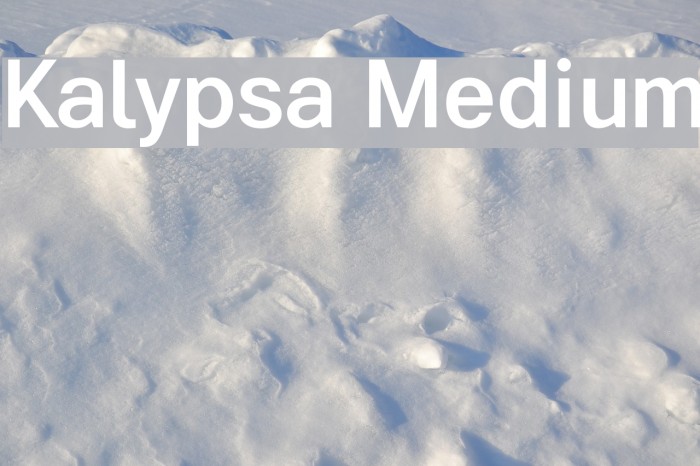 Kalypsa Medium Font examples