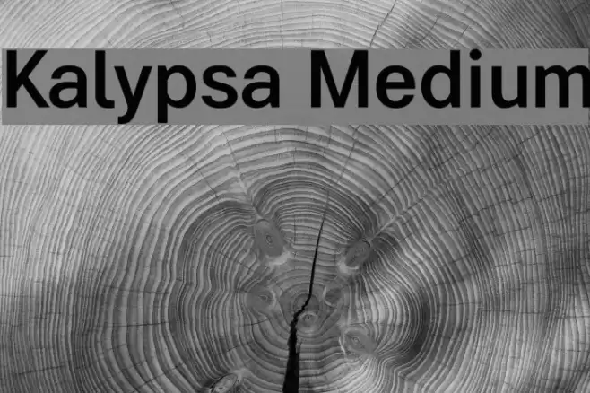 Kalypsa Medium Font examples