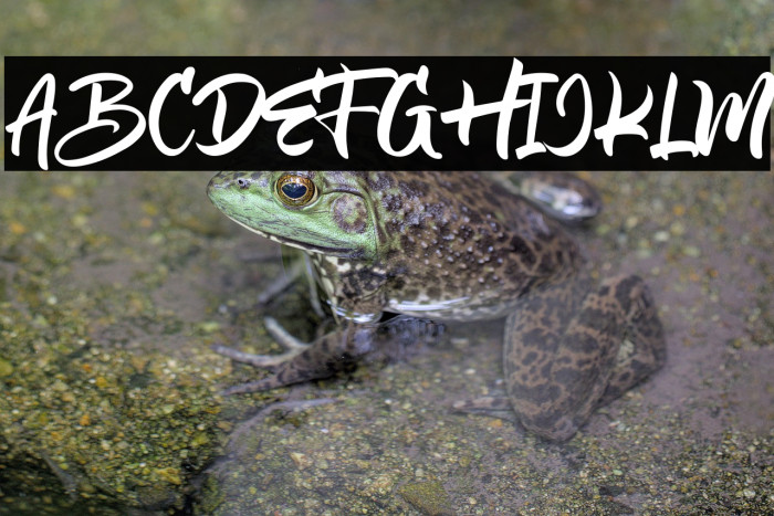 Kalyubi Demo Example 3