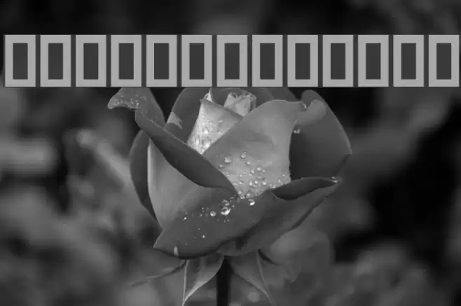 Kamaan Font examples