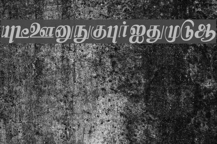 Kamaas Regular Example 2