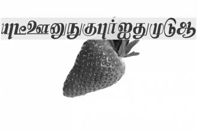 Kamaas Regular Font examples