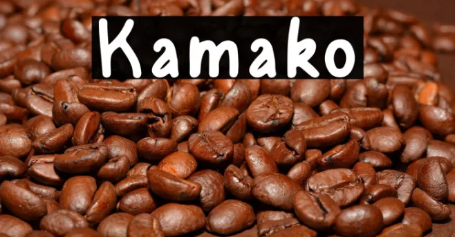 Kamako Example 1