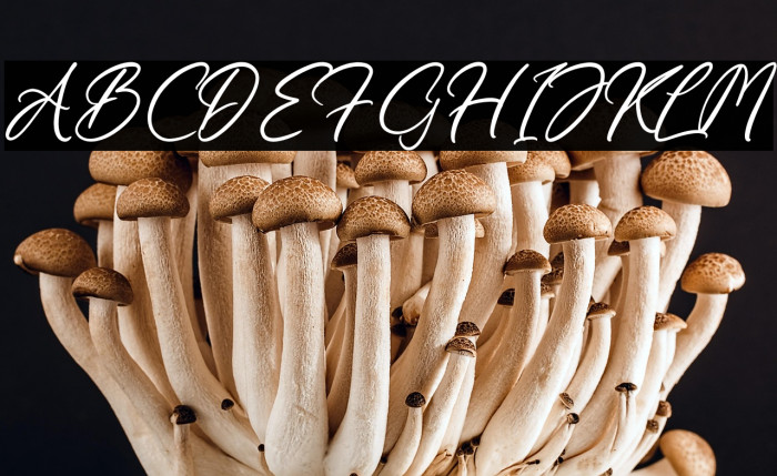 Kamalika Anotesla Example 1