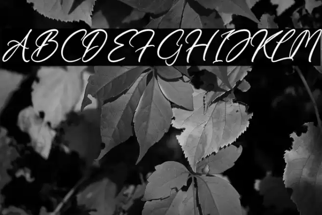 Kamalika Anotesla خط examples