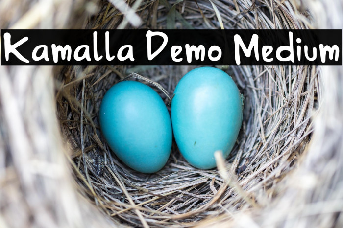 Kamalla Demo Medium Example 1
