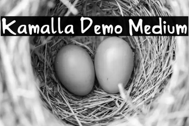Kamalla Demo Medium Schriftart examples
