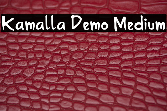 Kamalla Demo Medium Example 2