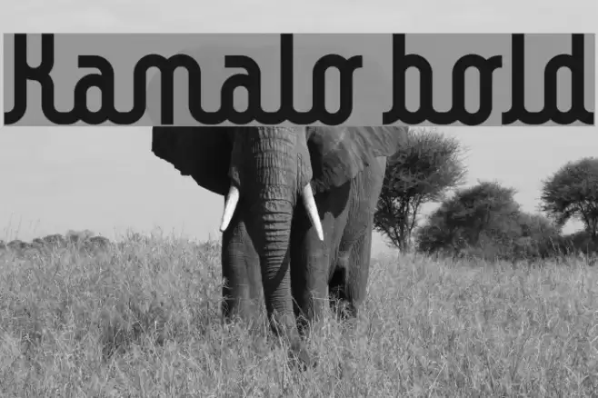 Kamalo bold Font examples