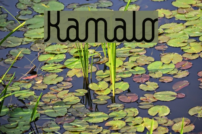Kamalo フォント examples