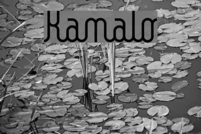 Kamalo Font examples