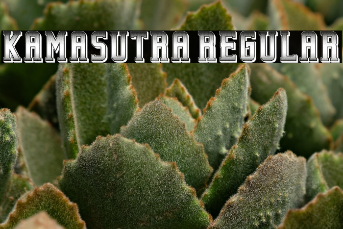 Kamasutra Regular Example 3