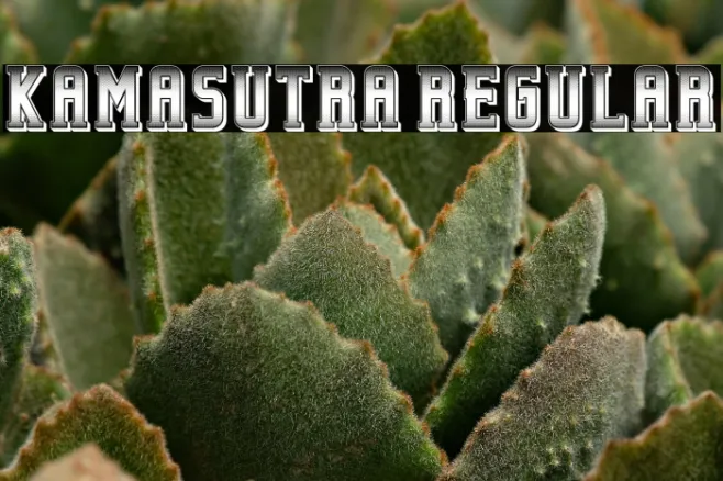 Kamasutra Regular Example 3